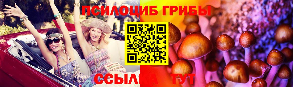 Галлюциногенные грибы Magic Shrooms Глазов